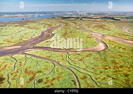 The Netherlands, Nieuw Namen, Westerschelde river. Background industrial area of Antwerp. Foreground tidal marshland. Aerial. Stock Photo