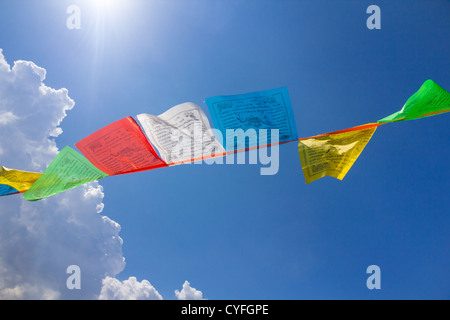 Few buddhist tibetan prayer flags against blue sky with a cloud Stock Photo