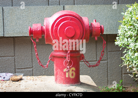 A fire hydrant Stock Photo