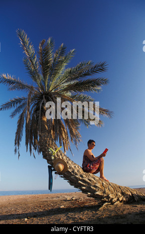 Egypt, Dahab, Red Sea, Sinai, tourist reading book on the beach. Palm trees. Stock Photo