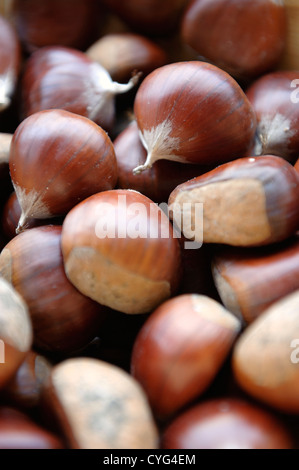 Chestnuts Stock Photo