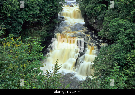 Corra Linn waterfall,Clyde valley,Scotland Stock Photo