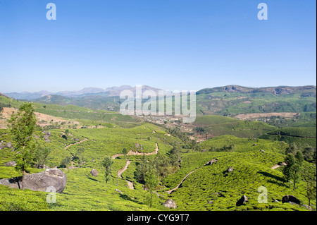 Horizontal view of the stunning tea plantation landscape in the high ranges of Idukki District, India Stock Photo