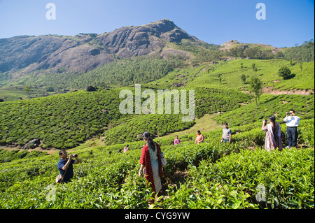 Horizontal view of Indian tourists admiring the stunning tea plantation scenery in the high ranges of Idukki District, India Stock Photo