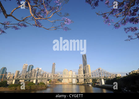 View of Story Bridge and Brisbane River and CBD with flowering jacarandas in spring, Queensland, Australia. No PR Stock Photo