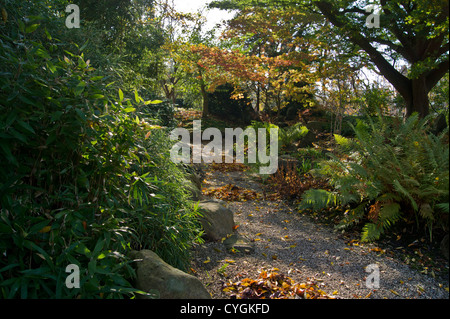 The von Siebold memorial garden in autumn Stock Photo