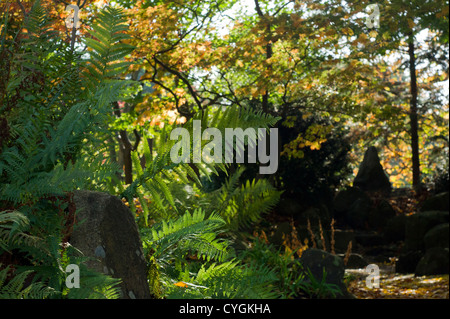 The von Siebold memorial garden in autumn Stock Photo