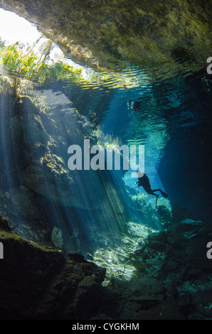 Cenote Kukulkan, Tulum (Playa del Carmen), Yucatan, Mexico Stock Photo