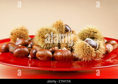 Sweet chestnuts and chestnut husks on ared plate. Light brown background with lot of copy space. Selective focus. Stock Photo