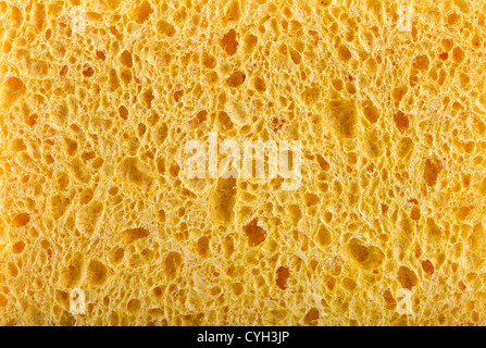 Yellow sponge texture Stock Photo