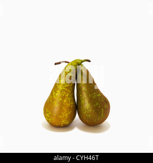 Two Pears isolated [Concorde Pears] Stock Photo