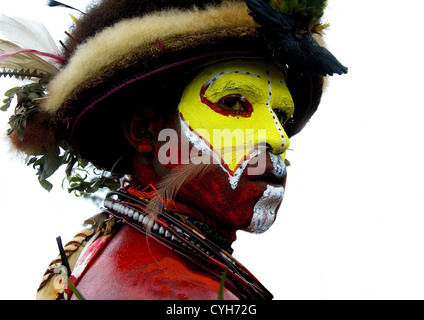 Huli Wigman From Tari During A Sing Sing Ceremony, Mount Hagen, Western Highlands, Papua New Guinea Stock Photo