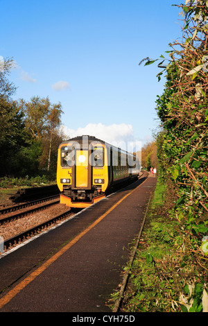 A diesel train stopped on the Wherry Lines at Haddiscoe Station, Norfolk, England, United Kingdom. Stock Photo