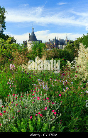 Bed with perennials (Lychnis coronaria, Stippa gigantea, Persicaria polymorpha…) and roofs of the castle, Chaumont-sur-Loire Stock Photo