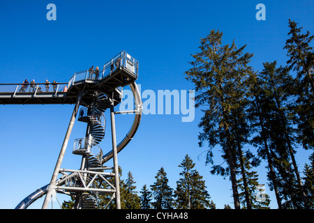 Panoramic experience bridge, 400 meter long bridge over trees and a valley to observe the nature of the region. Stock Photo