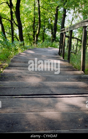 wooden staircase down in nature surrounded by grow trees and grass Stock Photo