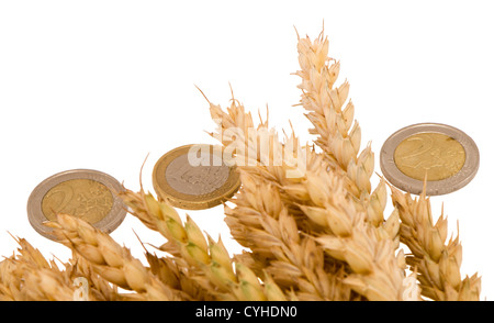 wheat ripe harvest ears with euro coins isolated on white Stock Photo