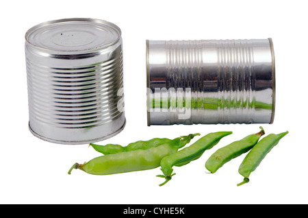 Pickled preserve pease in metal tin can pot and fresh one on top. Food prepare for winter. Stock Photo