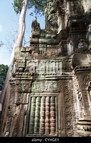 Mural Reliefs of the Temple Ta Prohm in the Angkor Temple Park, Cambodia Stock Photo