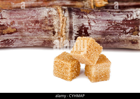 brown sugar cubes with sugar cane isolated on white Stock Photo