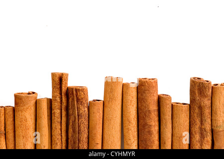 whole cinnamon sticks lined up on a white background Stock Photo