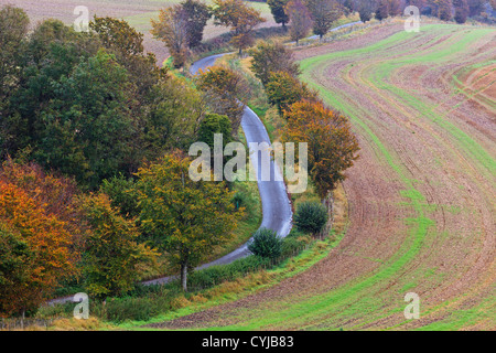 An English country lane winding it's way through the Hampshire countryside on a clear Autumn day in late October. Stock Photo