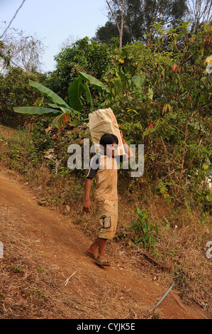 Cambodian builder carries heavy bag of bricks down rough sandy path in countryside Cambodia. Stock Photo
