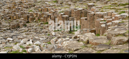 Closeup shot of Giants Causeway stones. Stock Photo