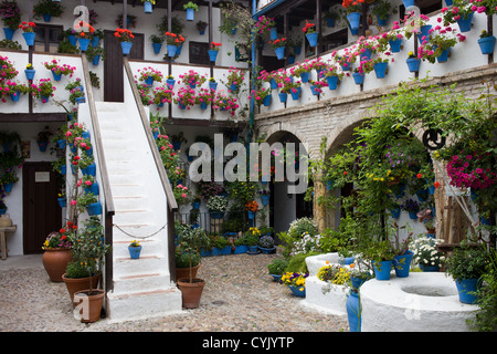 Courtyard of a traditional house in the city of Cordoba, Spain, Andalusia region with flower pots on walls. Stock Photo