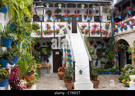 Beautiful patio of a traditional house in the city of Cordoba, Spain, Andalusia region with flower pots on walls. Stock Photo