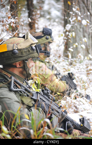 Italian soldiers from the 183rd Airborne Regiment pull security during a decisive action training environment exercise, Saber Junction 2012, at the Joint Multinational Readiness Center in Hohenfels, Germany, Oct. 28, 2012. Saber Junction 2012, the U.S. Ar Stock Photo