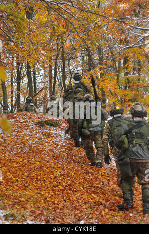 Italian soldiers from the 183rd Airborne Regiment march through woodlands during a decisive action training environment exercise, Saber Junction 2012, at the Joint Multinational Readiness Center in Hohenfels, Germany, Oct. 28, 2012. Saber Junction 2012, t Stock Photo