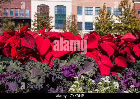 Christmas Decorations at Market Street in The Woodlands, Texas Stock Photo  - Alamy