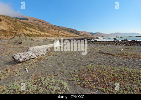 A pebble beach and driftwood logs against a bright blue sky off of Mattole Road on the Lost Coast of California Stock Photo