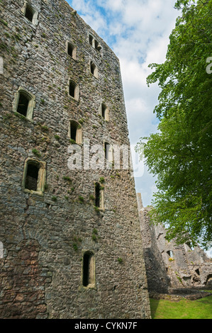 Wales, Gower Peninsula, Oxwich Castle, 16th century Tudor manor house Stock Photo