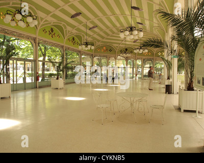 Vichy spa Halle des Sources / Hall of the Springs building in the park, Vichy, Alliers, France Stock Photo