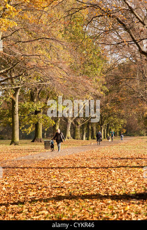 Abington Park, Northampton, UK. 7th November. 2012. Autumn sunshine and colours as people enjoy Abington park, Northampton, this morning. Stock Photo