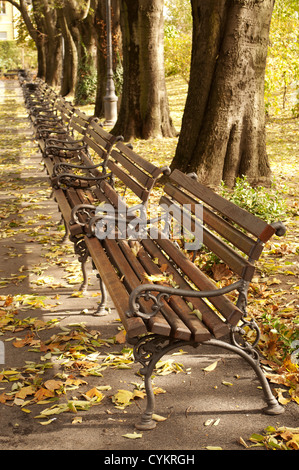Row of benches Stock Photo