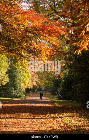 Abington Park, Northampton. 7th November.  2012. Autumn sunshine and colours as people enjoy the park this morning. Stock Photo
