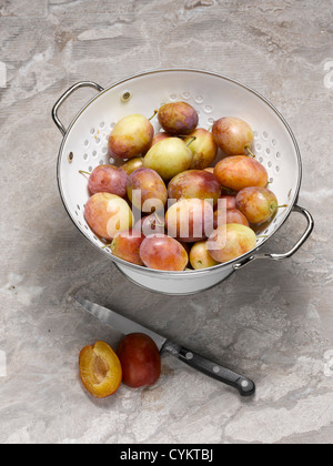 Close up of plums in colander Stock Photo
