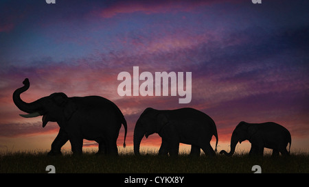 Silhouette of elephants against sky Stock Photo
