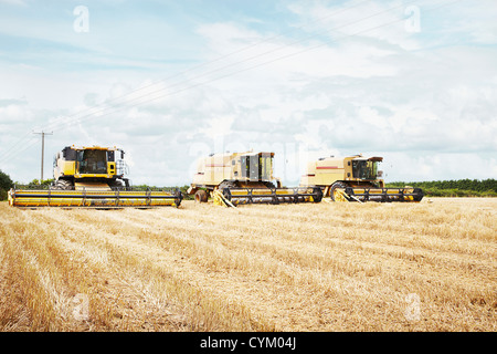Harvesters working in crop field