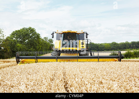 Harvesters working in crop field Stock Photo