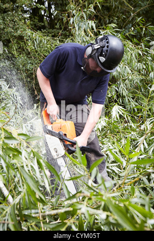 Worker using chainsaw in forest Stock Photo