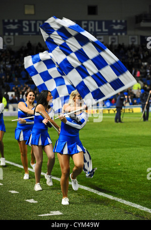 Gullys Girls cheerleaders performing before a Brighton and Hove Albion football match at the Amex Stadium UK 2012 Stock Photo