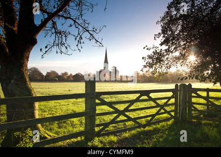 An autumn view of the spire of medieval Salisbury Cathedral, Wiltshire, England, UK across the Harnham water meadows. Stock Photo