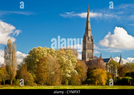 An autumn view of the spire of medieval Salisbury Cathedral, Wiltshire, England, UK across the Harnham water meadows. Stock Photo