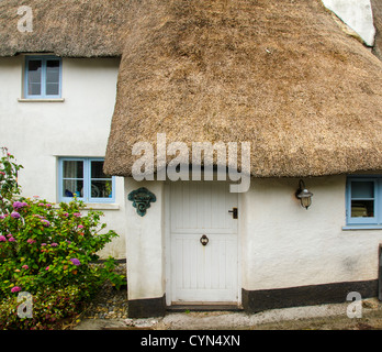 Thatched Cottage, Hope, Devon, UK Stock Photo