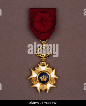 medal on vintage backgroun Stock Photo