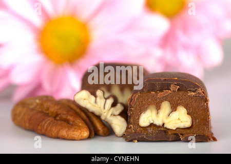 Pecan nut truffle with pecan nut beside and pink flowers in the back (Selective Focus, Focus on the front of the truffle) Stock Photo